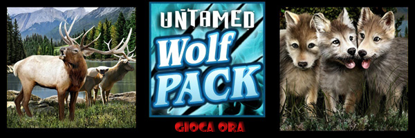 Untamed-Wolf-Pack Untamed-Wolf-Pack