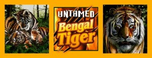 UntamedBengalTiger UntamedBengalTiger